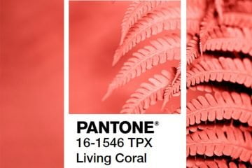 Pantone color